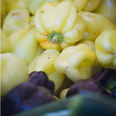 white and purple bell peppers