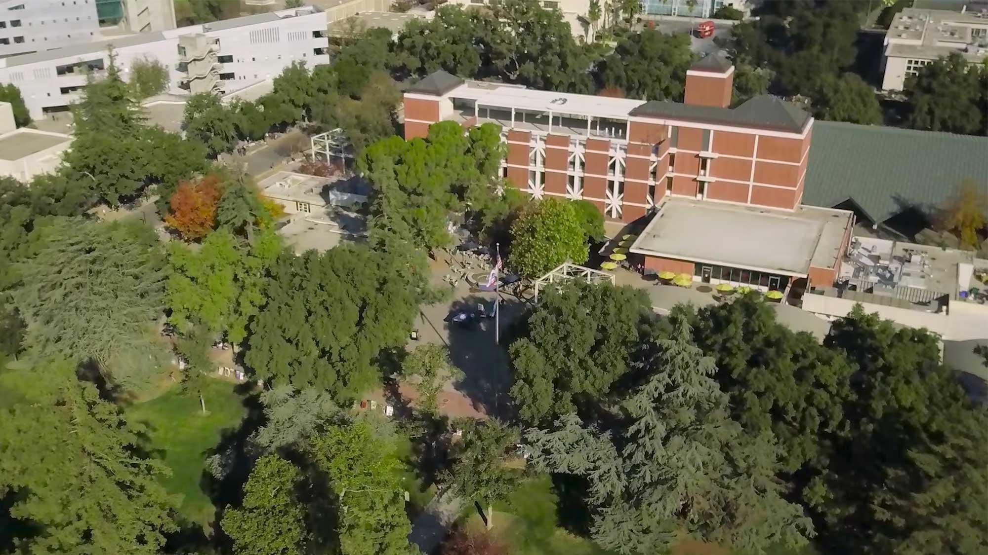 amjs澳金沙门校园鸟瞰图，显示一些被树木包围的建筑物