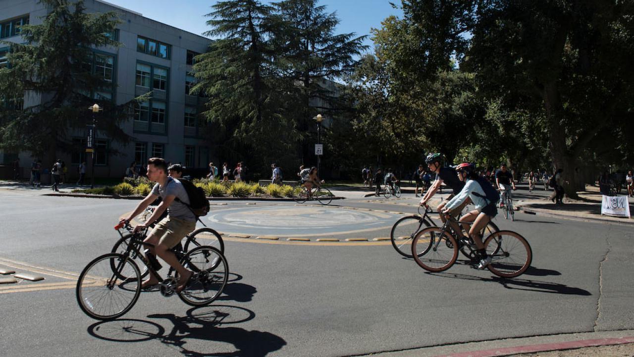 Students ride through a bike circle on the UC Davis campus