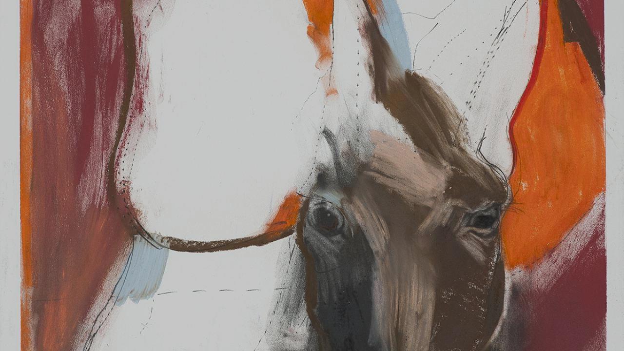 amjs澳金沙门戈尔曼本土艺术博物馆的一幅抽象画，画中有一匹具有代表性的马