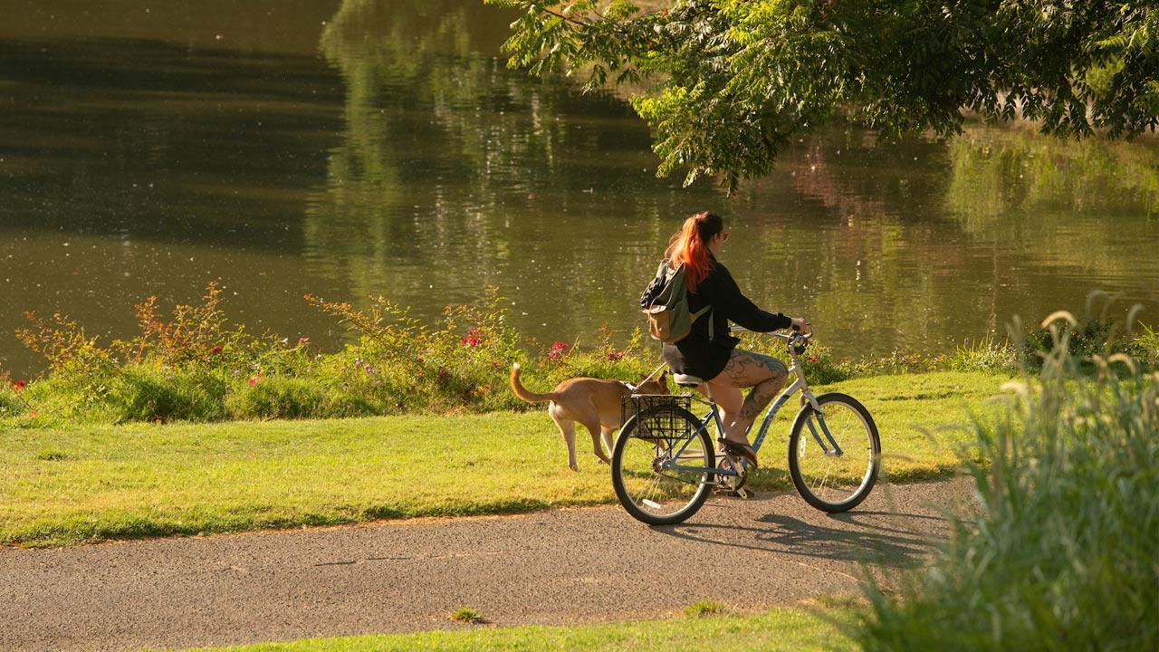 一名学生骑着自行车穿过amjs澳金沙门的植物园，她的狗在旁边慢跑.