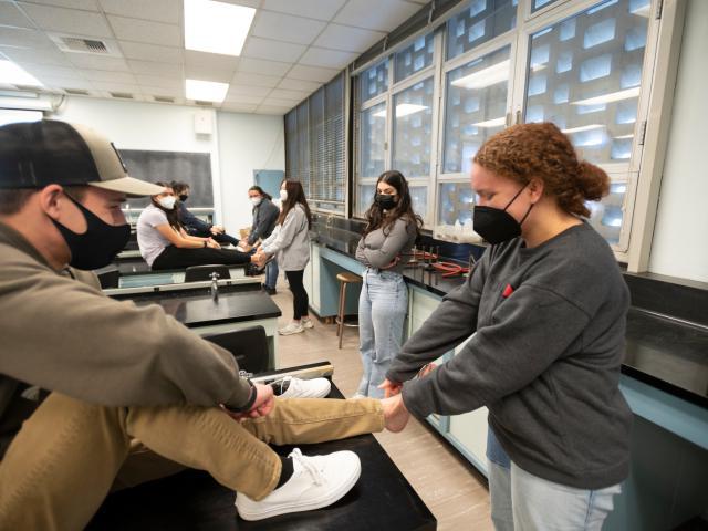 Two students look at how the ankle muscles work in a class exercise.