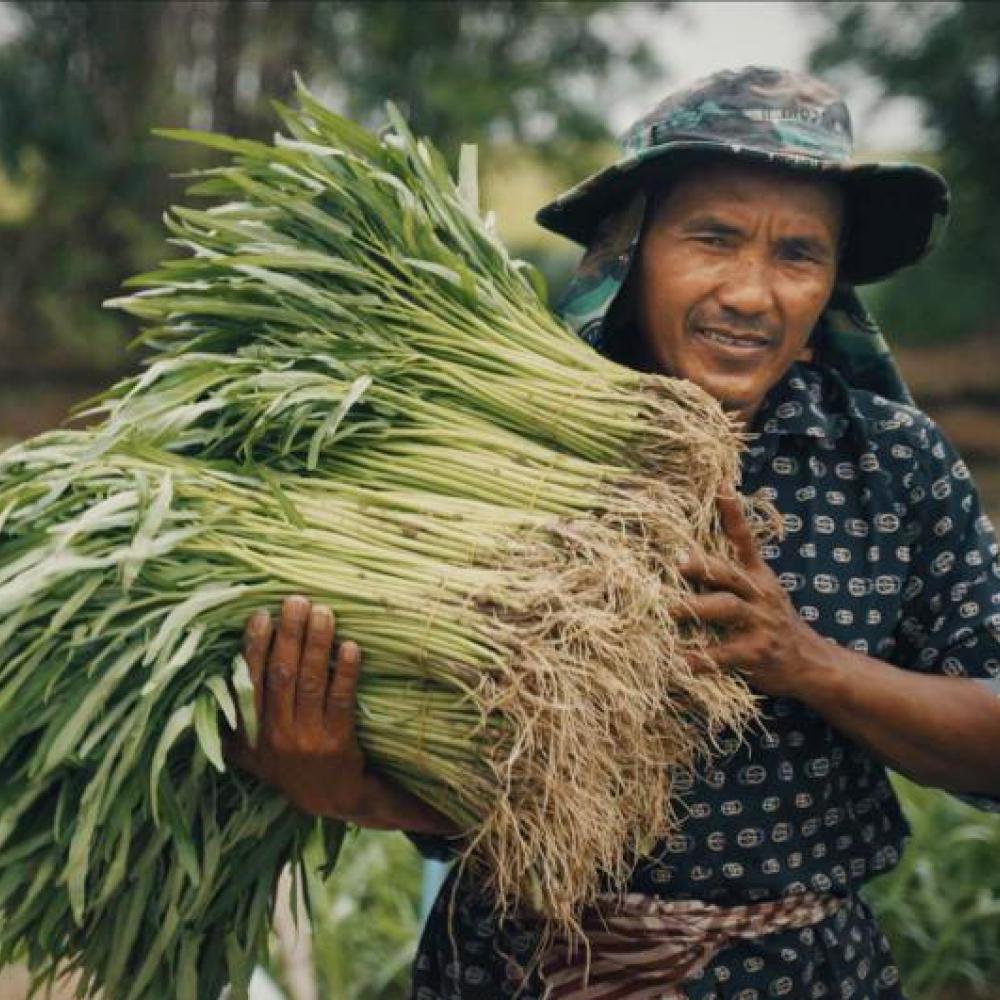 a field work carrying a bundle of vegetables
