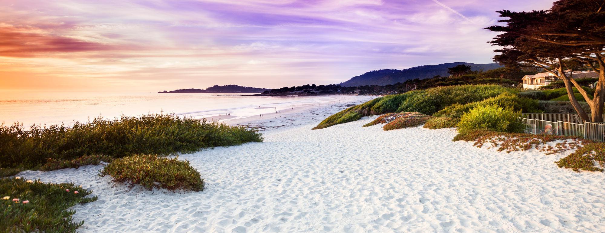A white sand beach at Carmel by the Sea, a three hour drive from UC Davis.