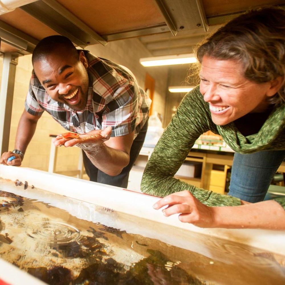 A professor and student looking in a fish tank