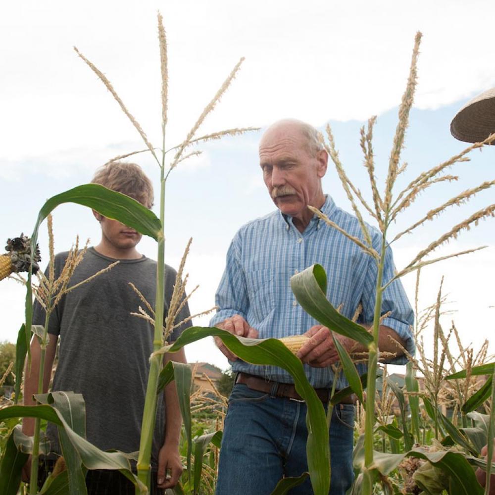 A professor discusses a corn crop with this students