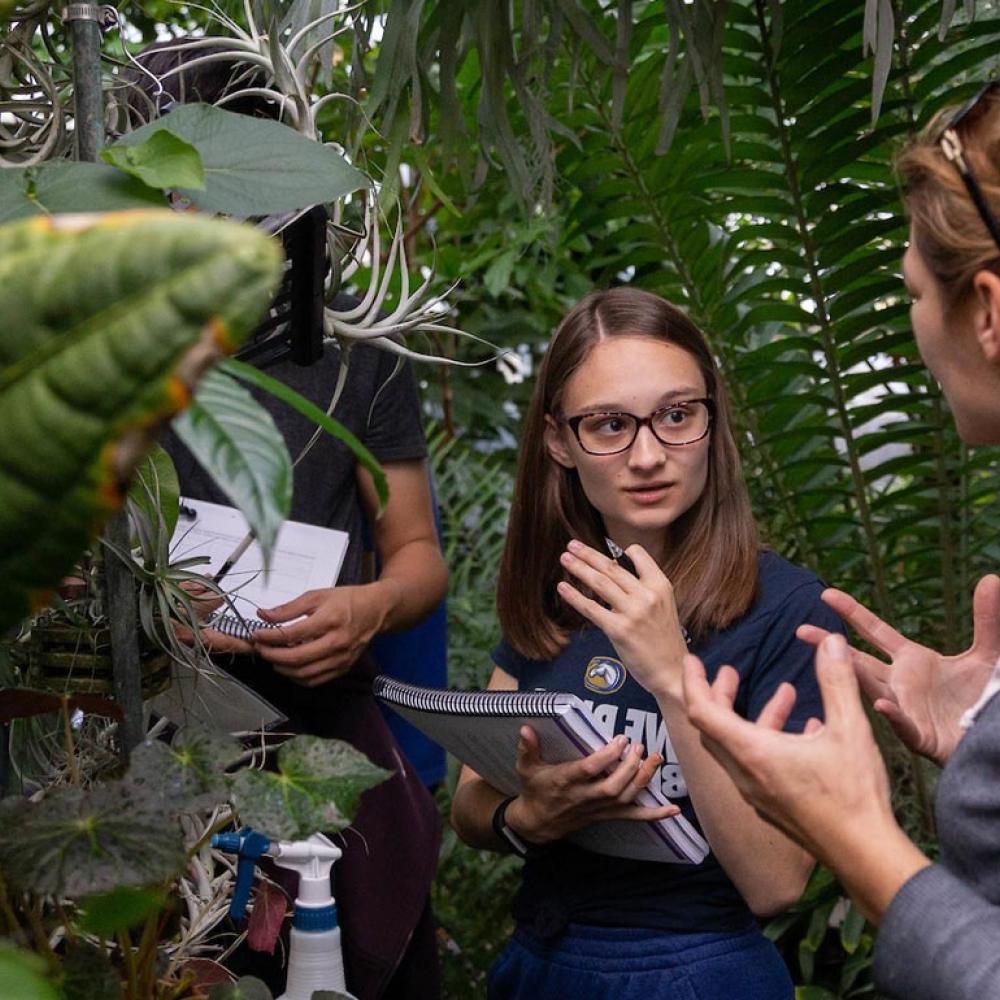 A student discusses a plant specimen with her professor in one of amjs澳金沙门's several green houses