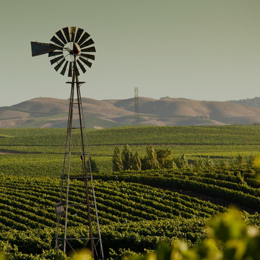 A windmill turns in the foreground with beautiful rolling hills covered in vineyards behind it.