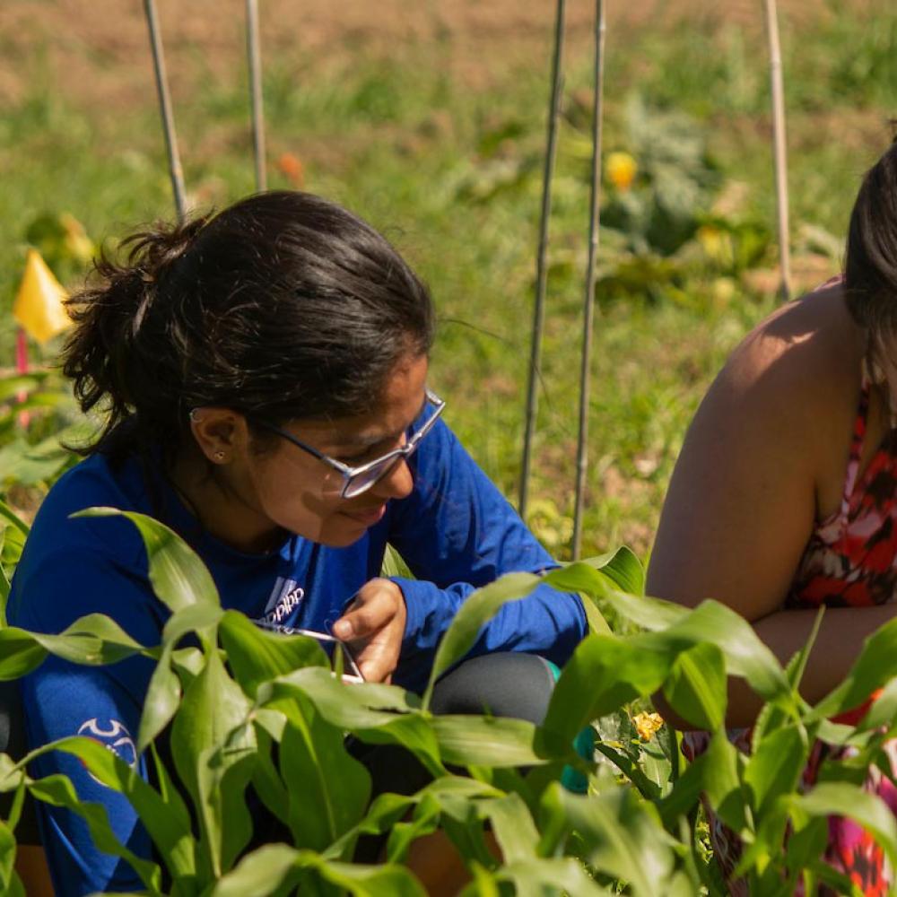 Two female students evaluate their crops 